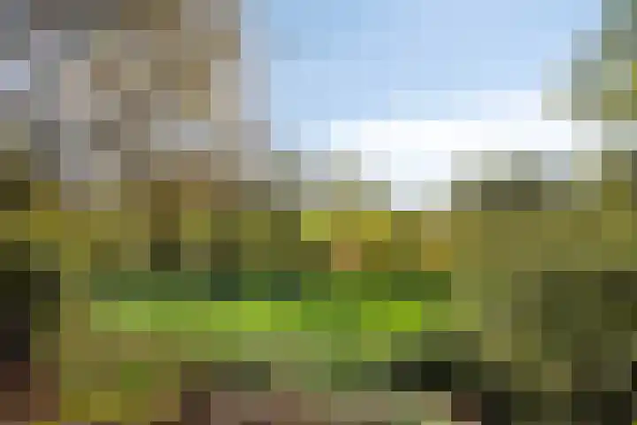 Emmaberg 6 Valkenburg thumbnail 44