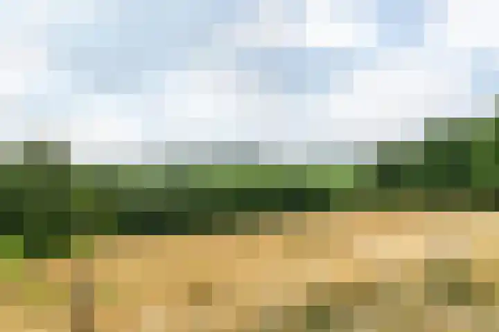 Emmabergweg 31 Valkenburg thumbnail 31