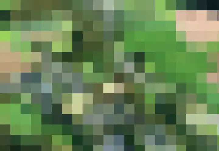Emmabergweg 31 Valkenburg thumbnail 34