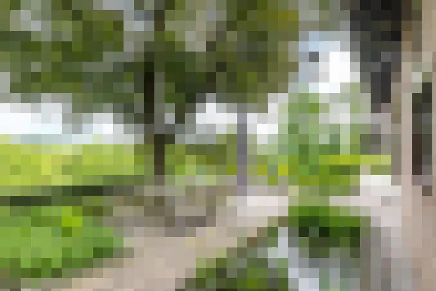 Emmabergweg 37 Valkenburg thumbnail 26