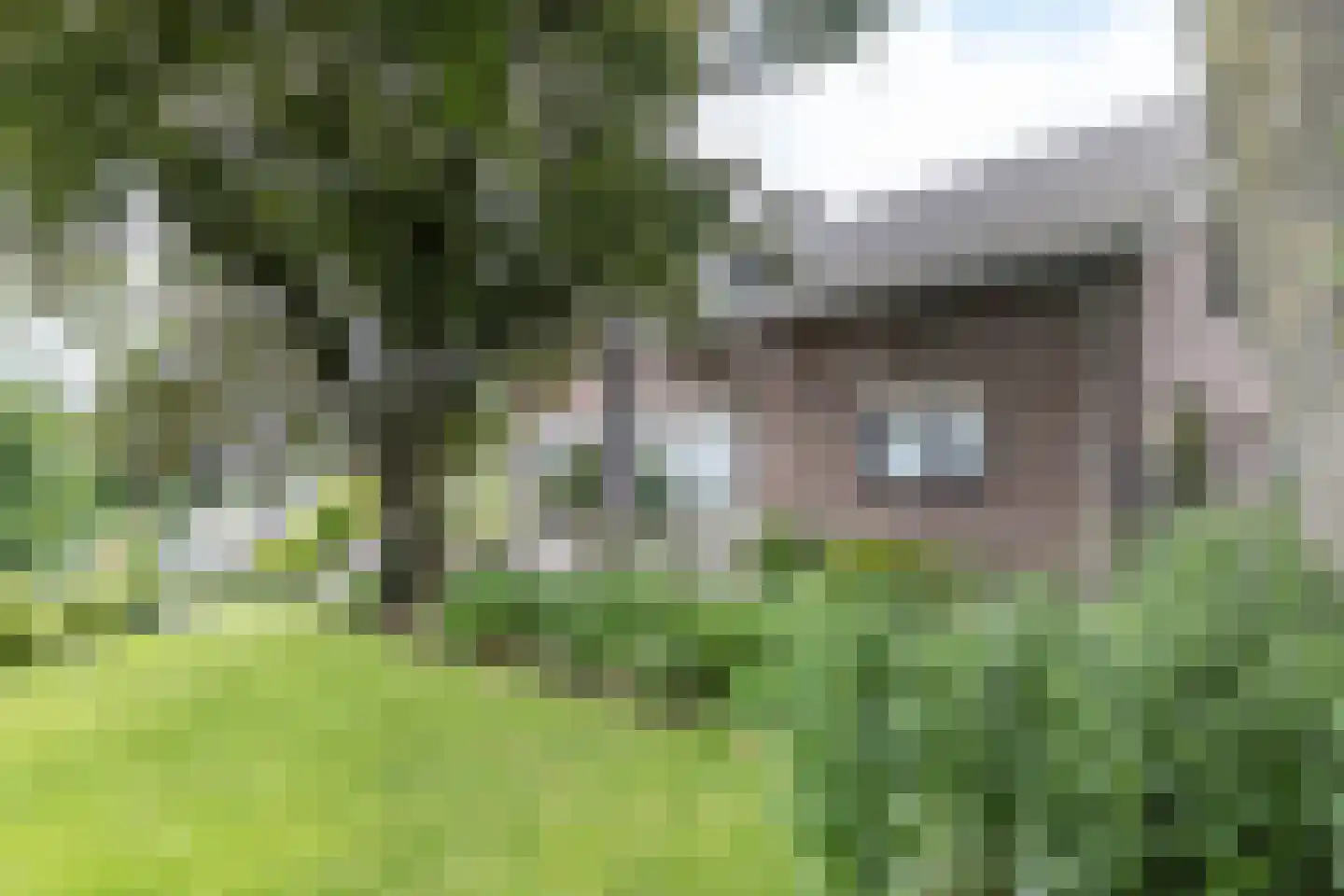 Emmabergweg 37 Valkenburg thumbnail 30
