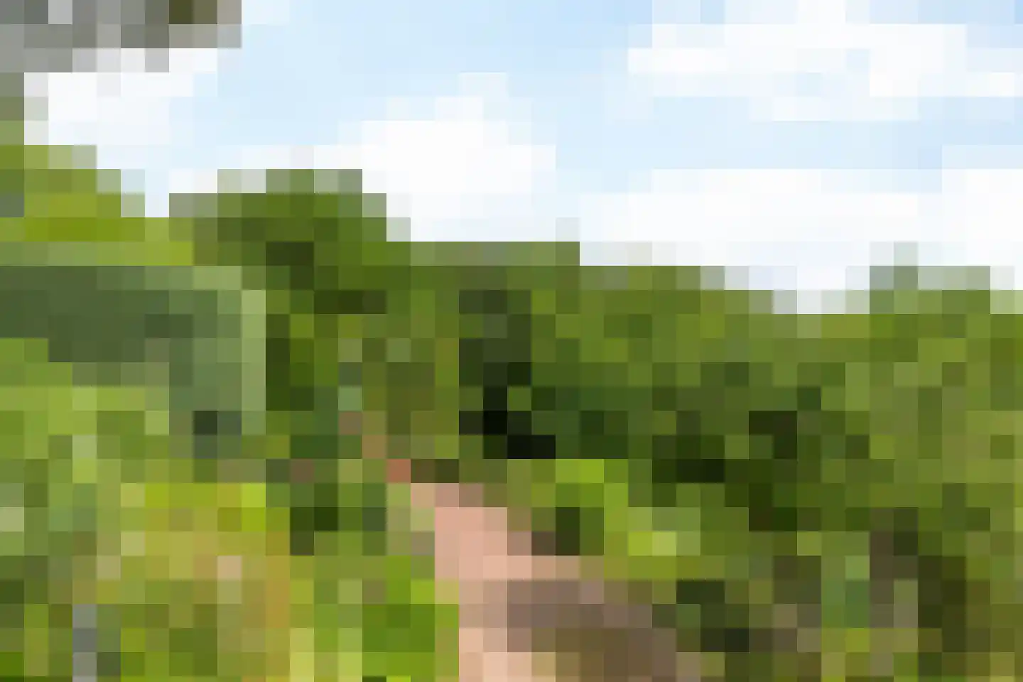 Emmabergweg 37 Valkenburg thumbnail 33