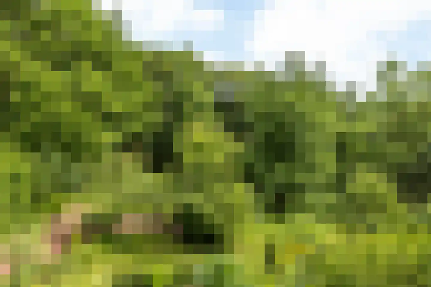 Emmabergweg 37 Valkenburg thumbnail 36