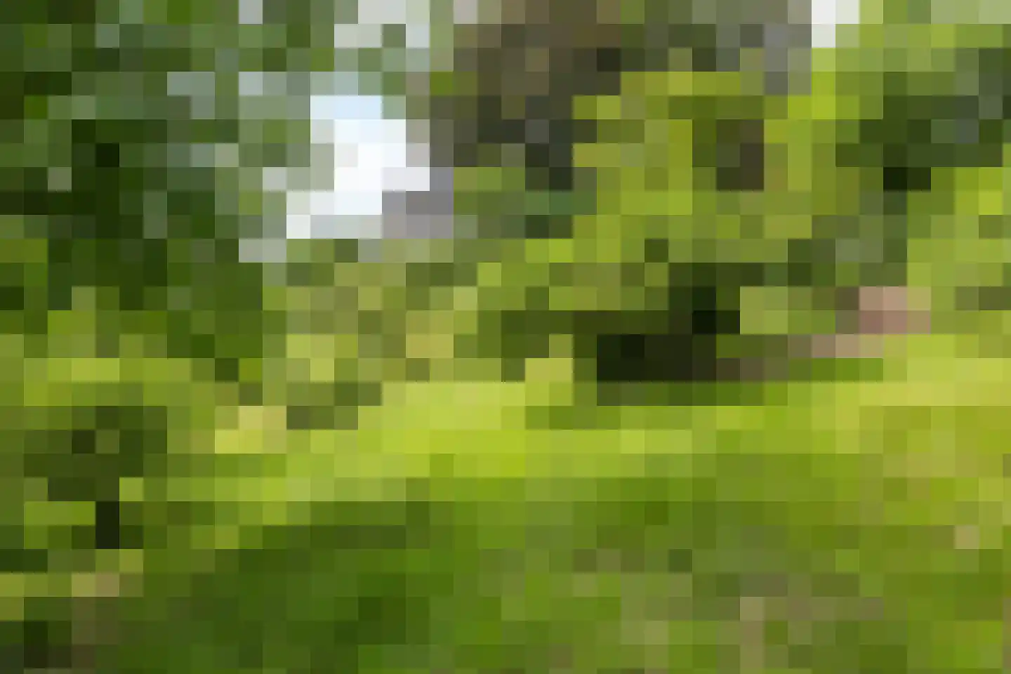 Emmabergweg 37 Valkenburg thumbnail 37