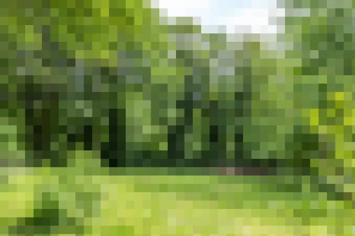Emmabergweg 37 Valkenburg thumbnail 38