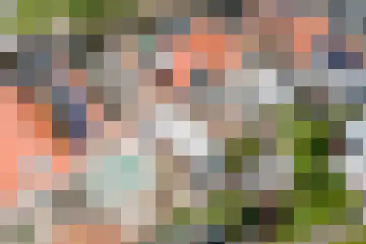 Emmabuert 3 Workum thumbnail 17