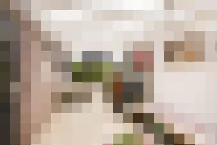 Emmabuert 3 Workum thumbnail 4