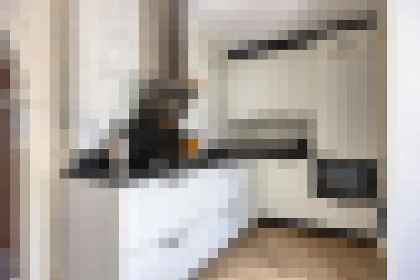 Emmahoeve 19 Slootdorp thumbnail 15
