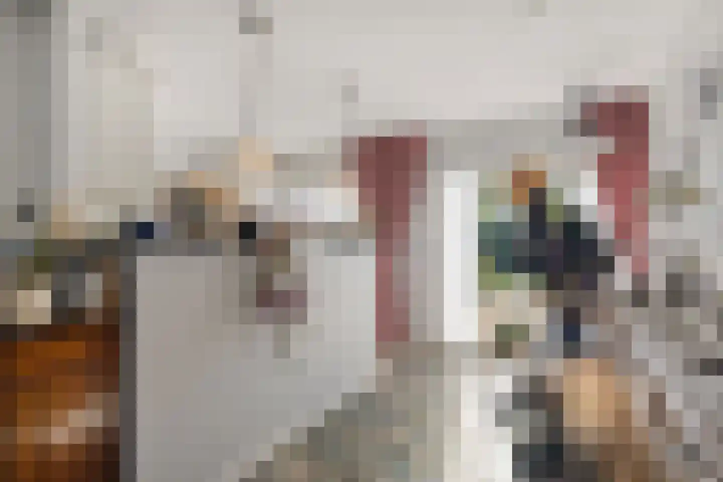 Emmahoeve 8 Slootdorp thumbnail 18