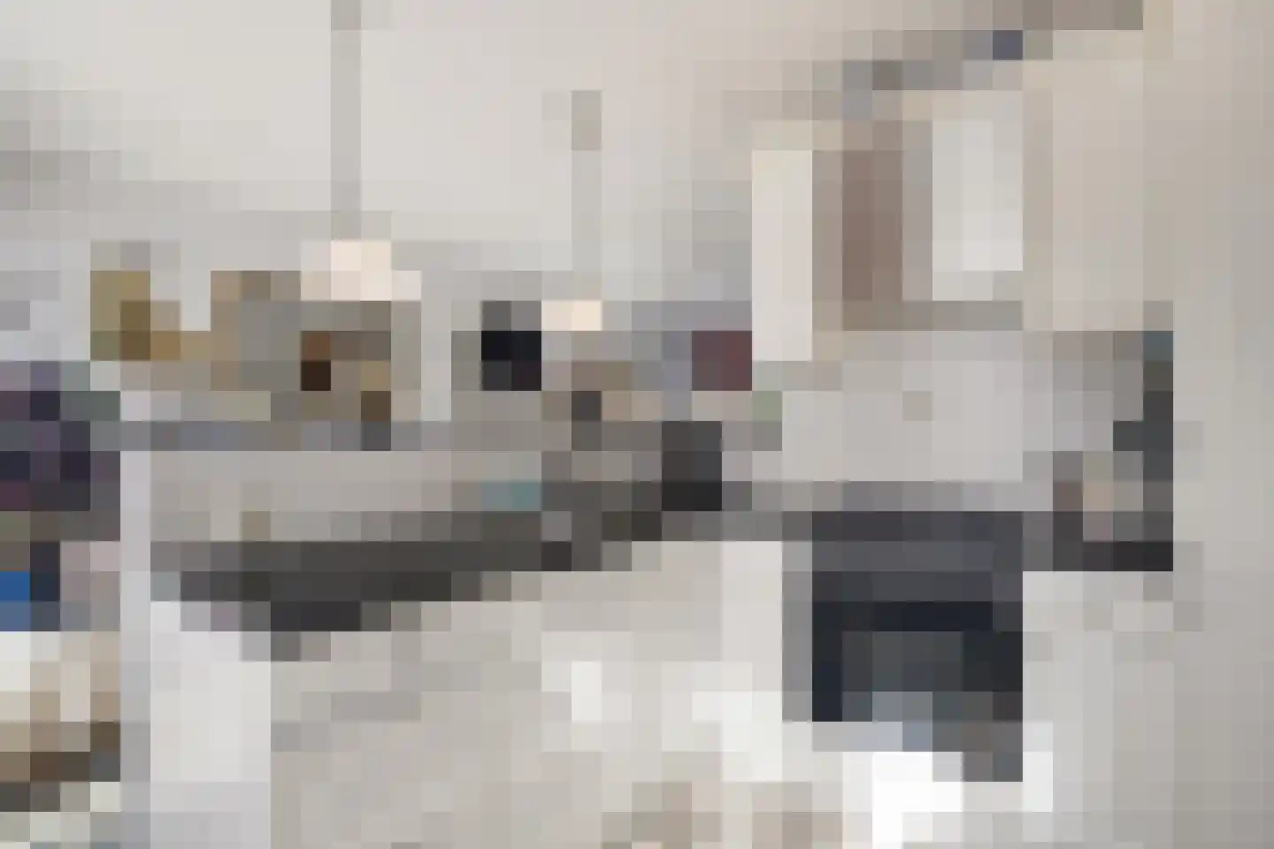 Emmahoeve 8 Slootdorp thumbnail 19