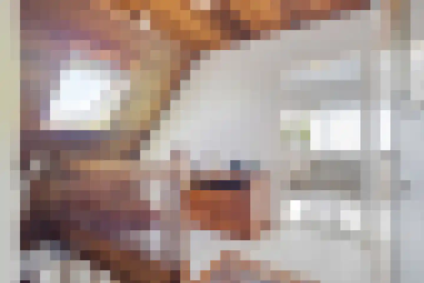 Emmahoeve 8 Slootdorp thumbnail 22