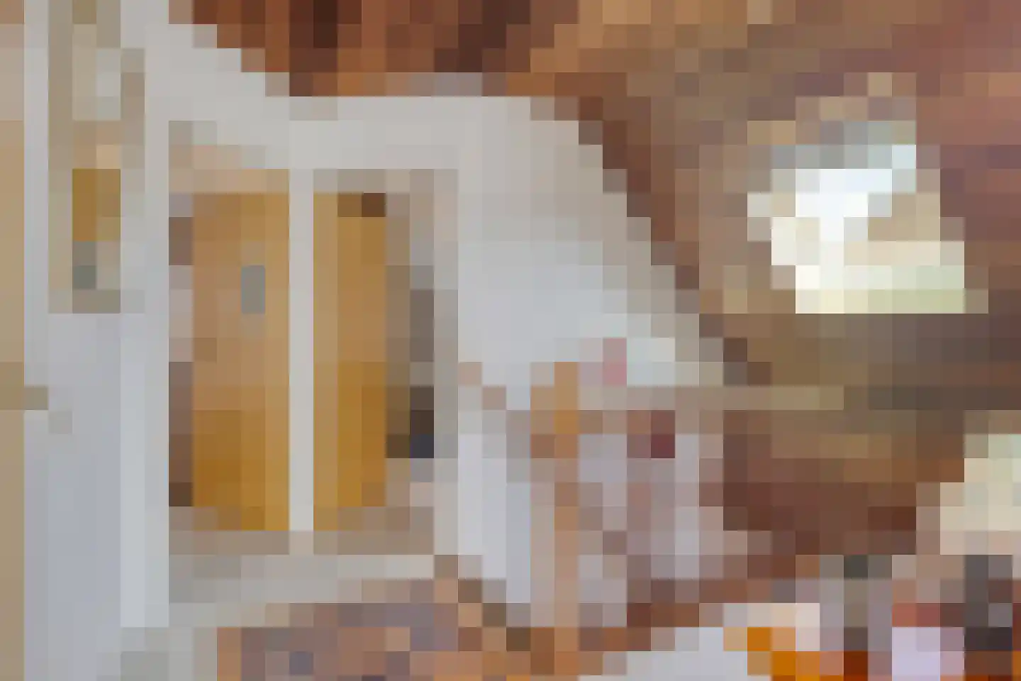 Emmahoeve 8 Slootdorp thumbnail 23
