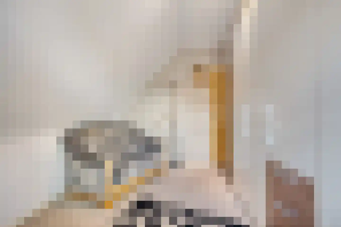 Emmahoeve 8 Slootdorp thumbnail 29