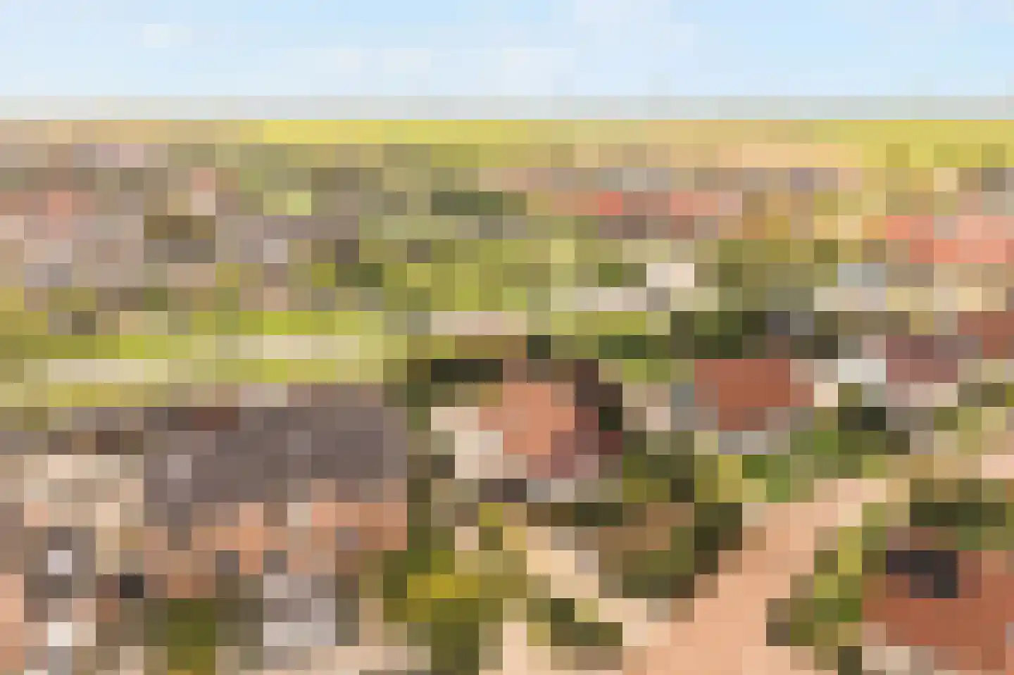 Emmahoeve 8 Slootdorp thumbnail 38