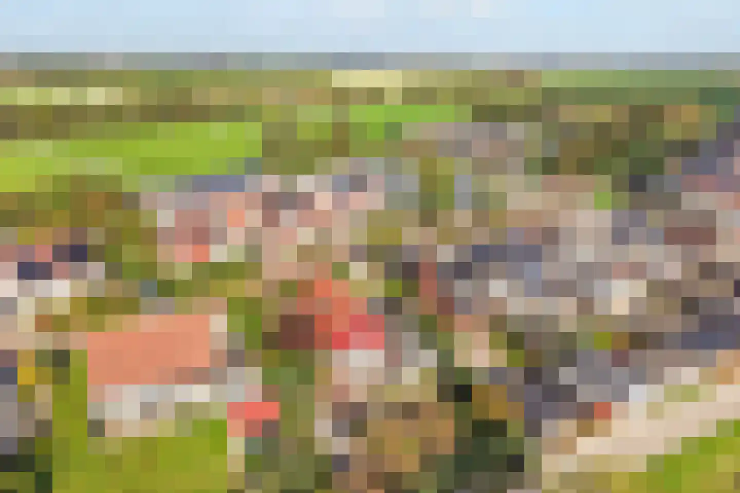 Emmahoeve 8 Slootdorp thumbnail 40