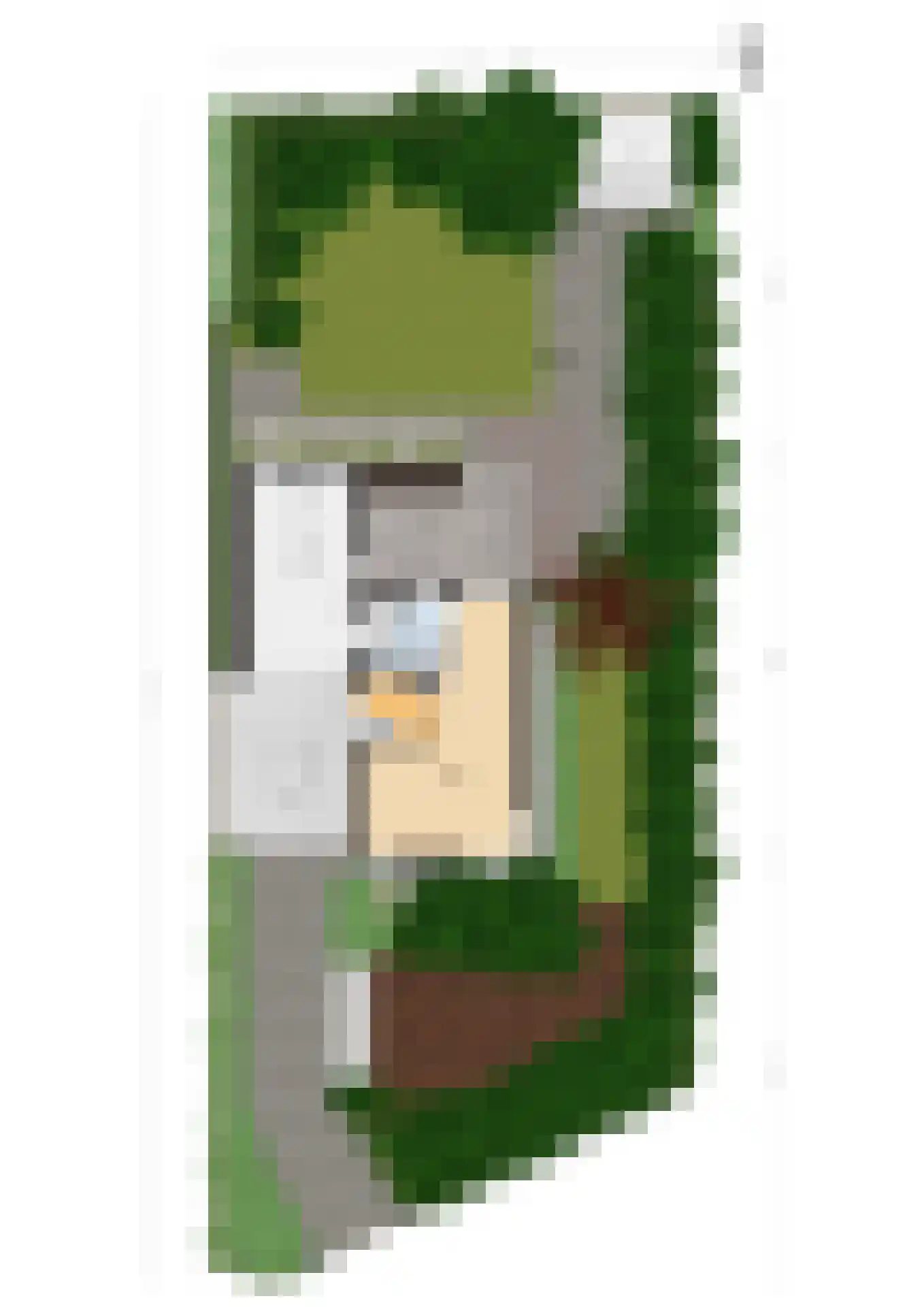 Emmahoeve 8 Slootdorp thumbnail 41