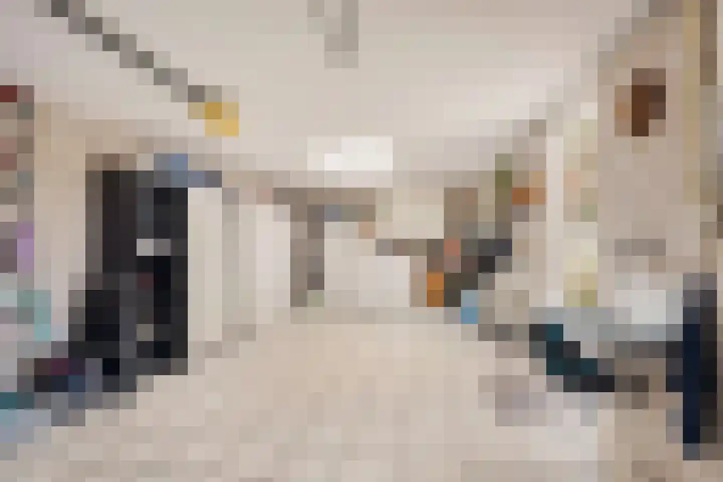 Emmahoeve 8 Slootdorp thumbnail 6