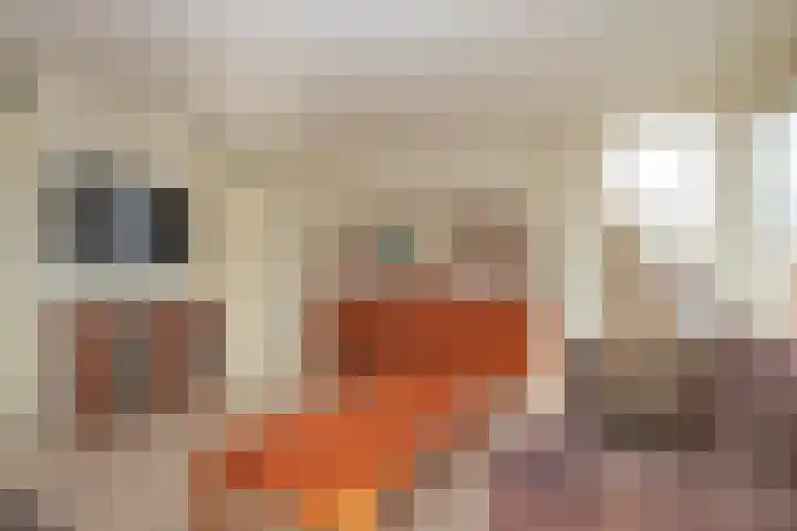 Emmahof 1 Woudenberg thumbnail 11