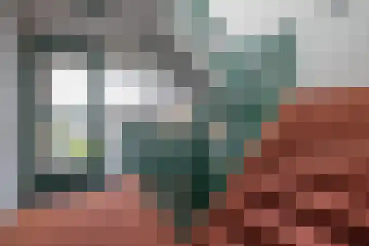 Emmahof 1 Woudenberg thumbnail 6
