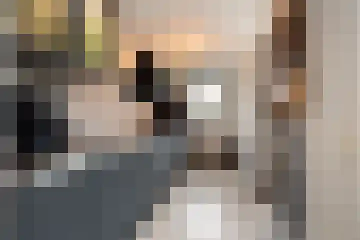 Emmahof 18 Waalwijk thumbnail 16