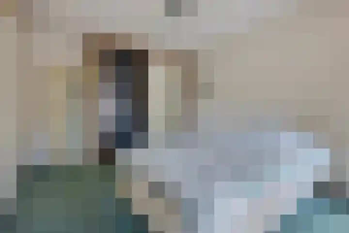 Emmahof 3 Woudenberg thumbnail 13