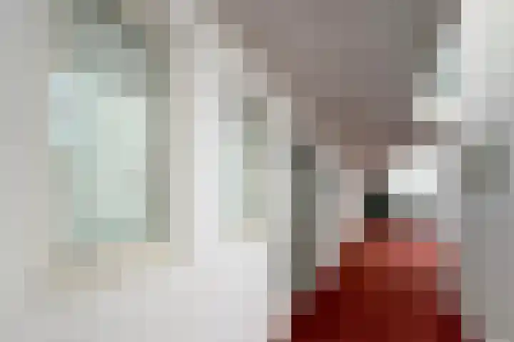 Emmahof 3 Woudenberg thumbnail 17