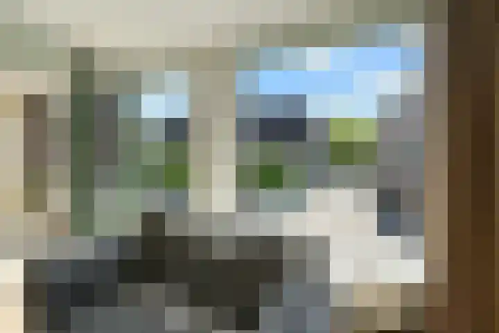 Emmahof 3 Woudenberg thumbnail 8