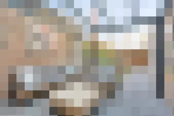 Emmahof 51 Waalwijk thumbnail 39