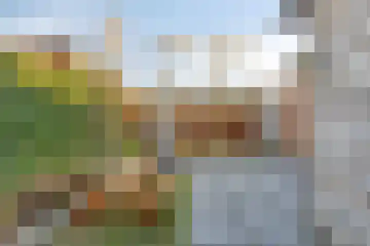 Emmahof 51 Waalwijk thumbnail 41