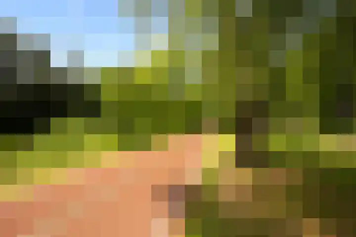 Emmahof 53 Waalwijk thumbnail 25
