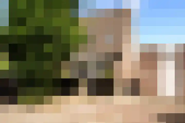 Emmahof 53 Waalwijk thumbnail 31