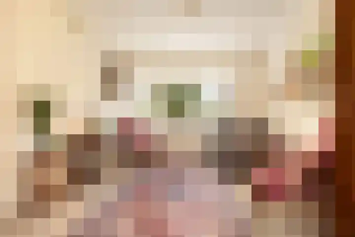 Emmahof 53 Waalwijk thumbnail 8