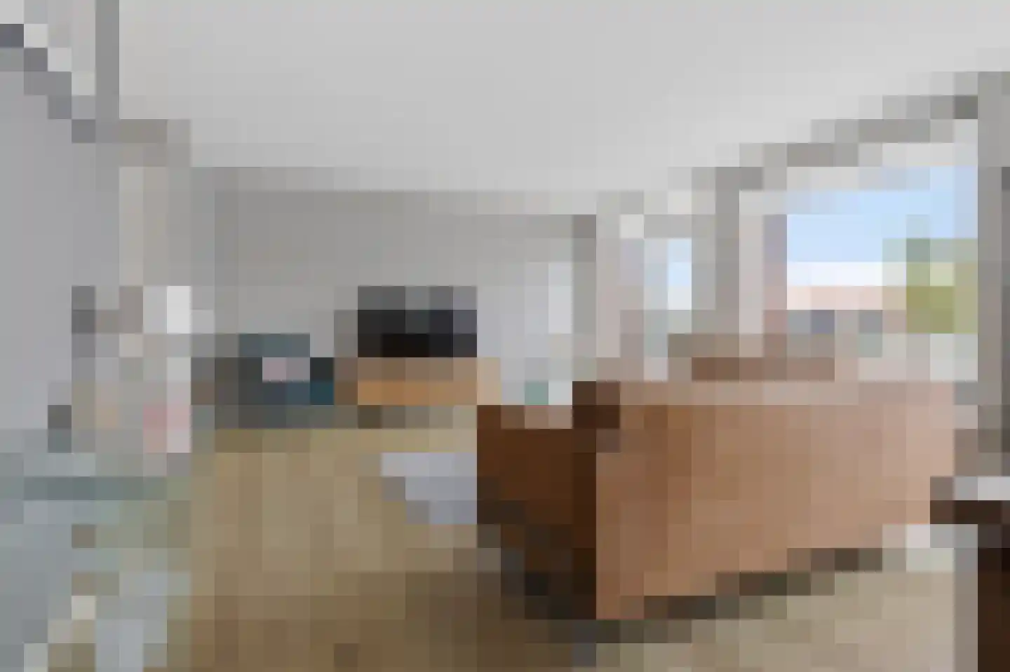 Emmahof 6 Woudenberg thumbnail 13