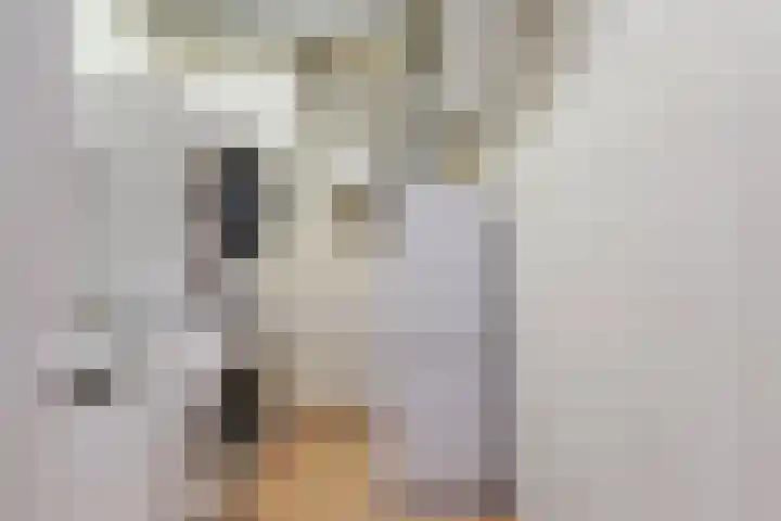 Emmahof 9 c Waalwijk thumbnail 30
