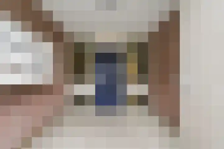 Emmahof 9 c Waalwijk thumbnail 5