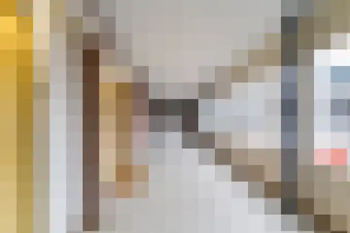 Emmahof 9 c Waalwijk thumbnail 7