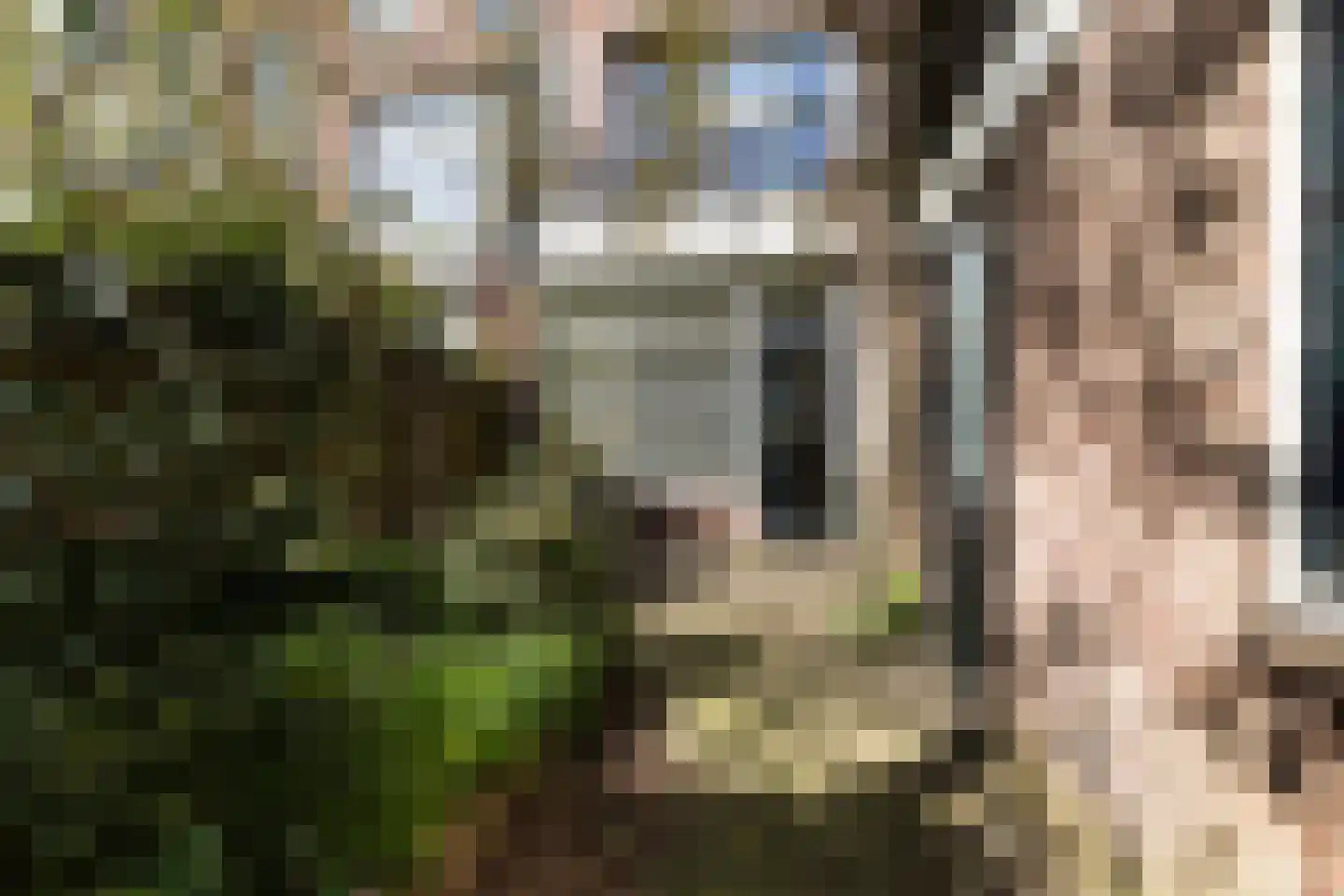 Emmakade 114 Leeuwarden thumbnail 38