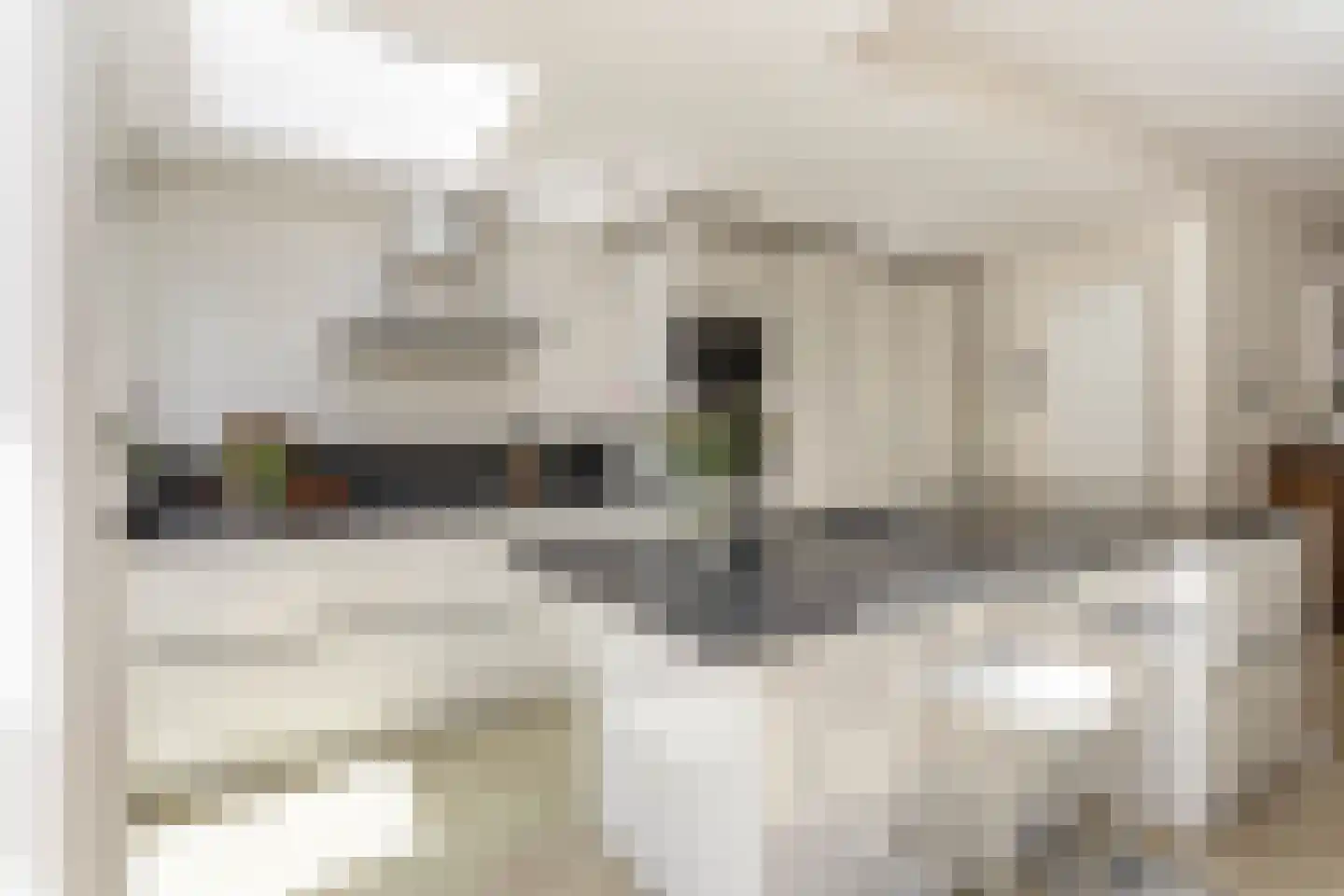 Emmakade 12 Amstelveen thumbnail 11