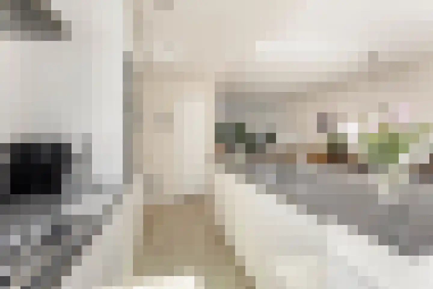 Emmakade 12 Amstelveen thumbnail 12