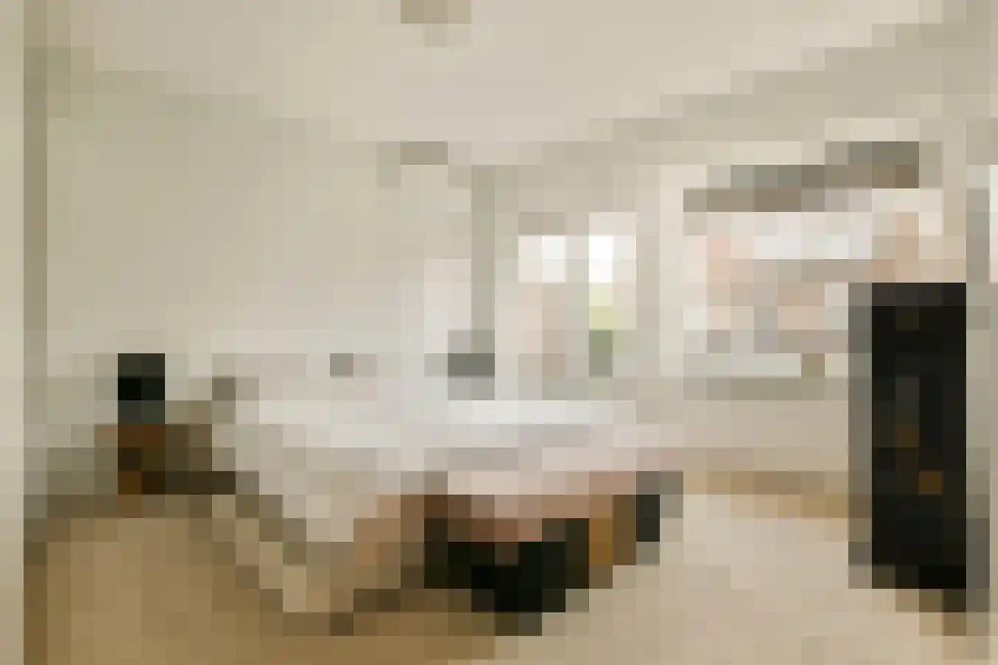 Emmakade 12 Amstelveen thumbnail 16