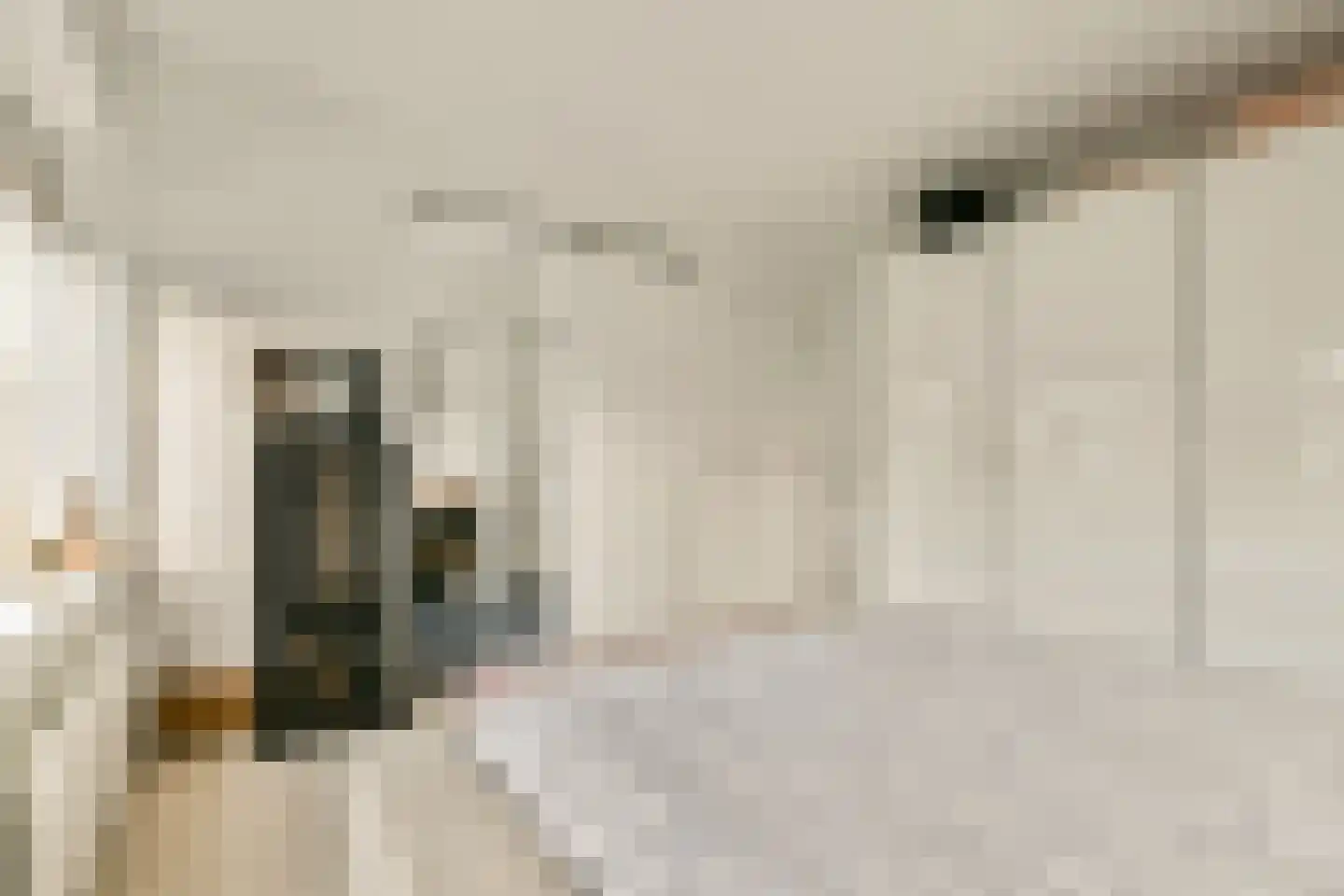 Emmakade 12 Amstelveen thumbnail 17