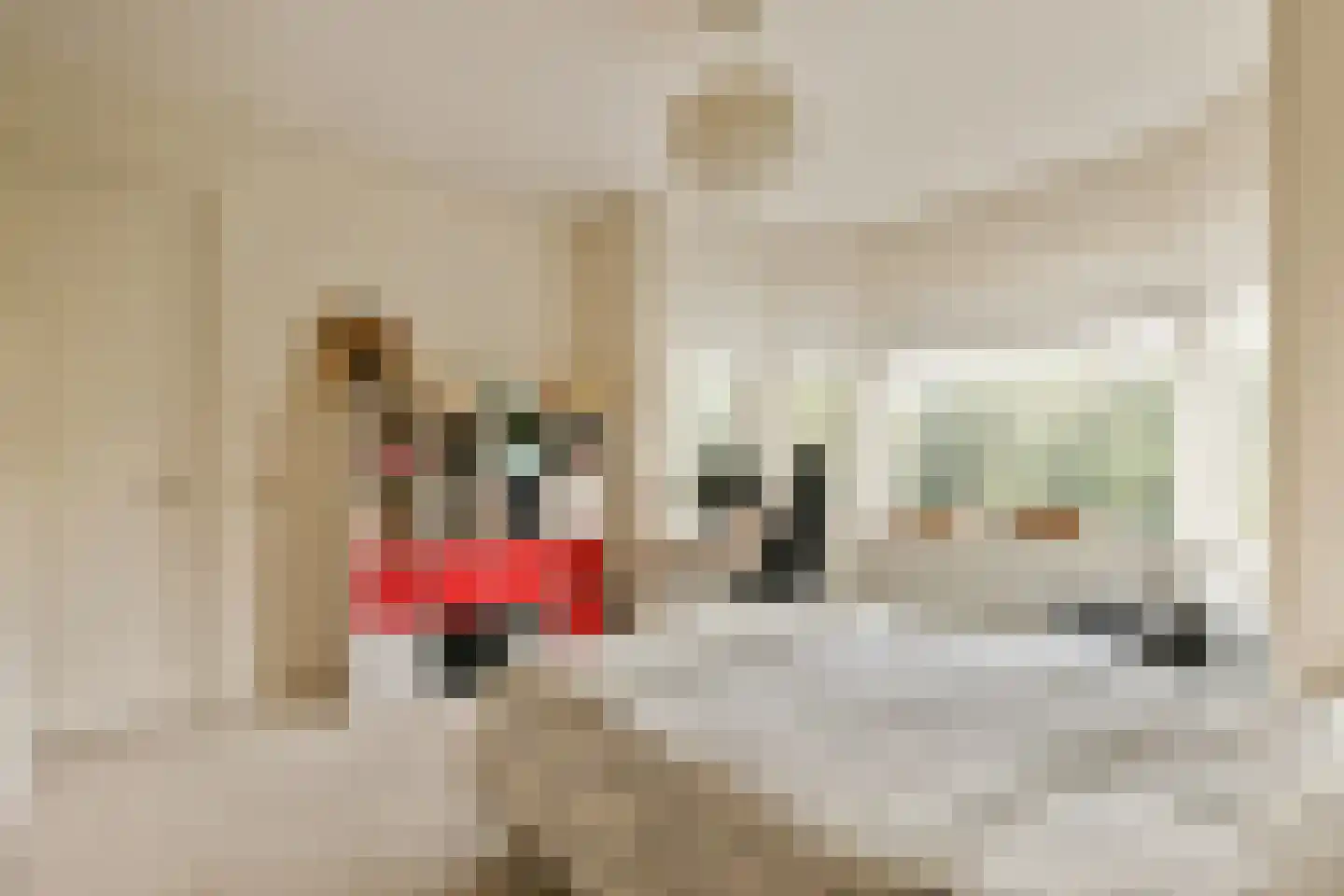 Emmakade 12 Amstelveen thumbnail 22