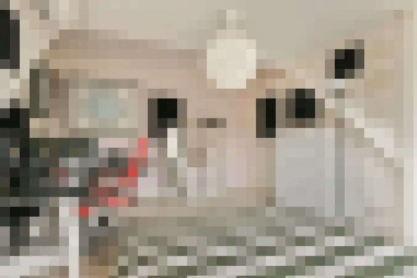 Emmakade 12 Amstelveen thumbnail 32