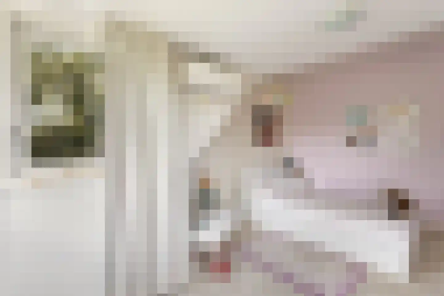 Emmakade 12 Amstelveen thumbnail 44