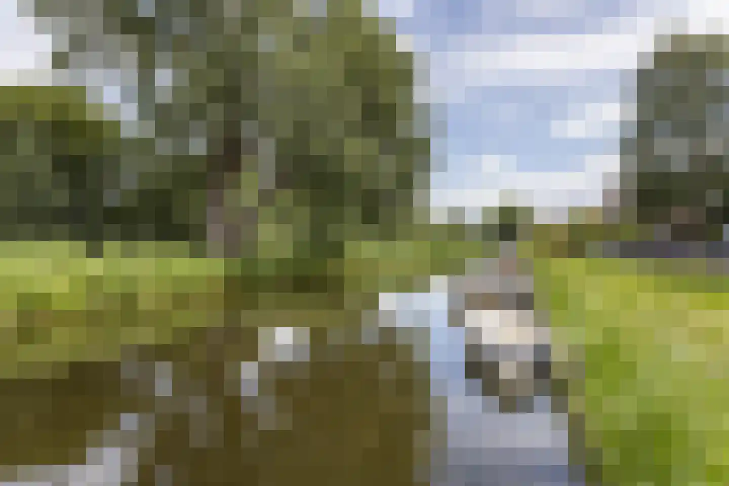 Emmakade 12 Amstelveen thumbnail 55