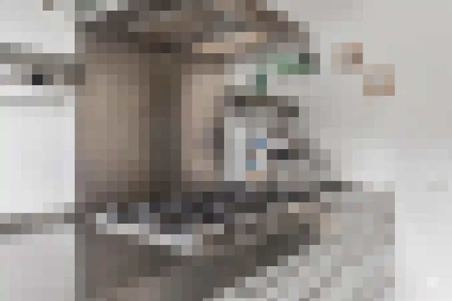 Emmakade 13 Amstelveen thumbnail 17