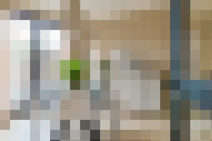 Emmakade 13 Bodegraven thumbnail 10