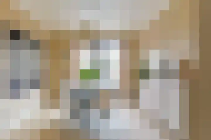 Emmakade 13 Bodegraven thumbnail 11