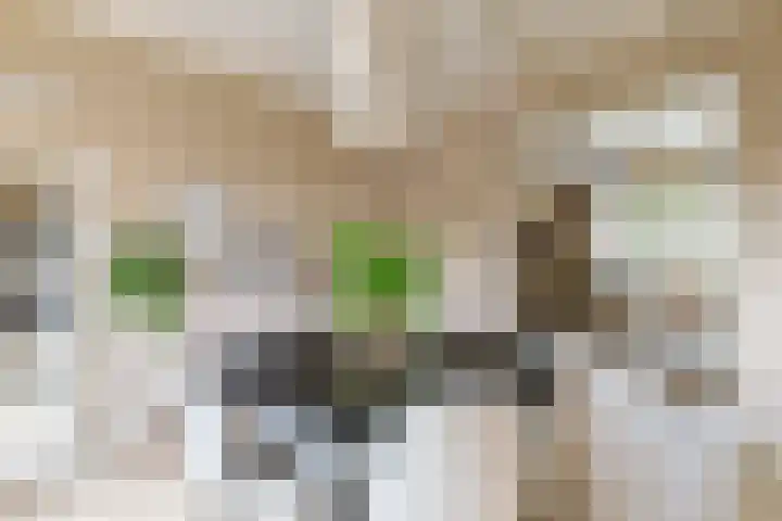 Emmakade 13 Bodegraven thumbnail 12