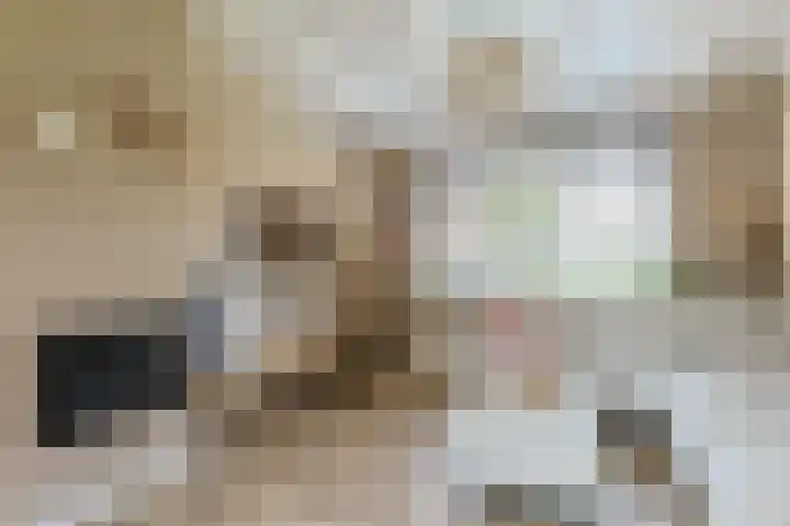 Emmakade 13 Bodegraven thumbnail 16